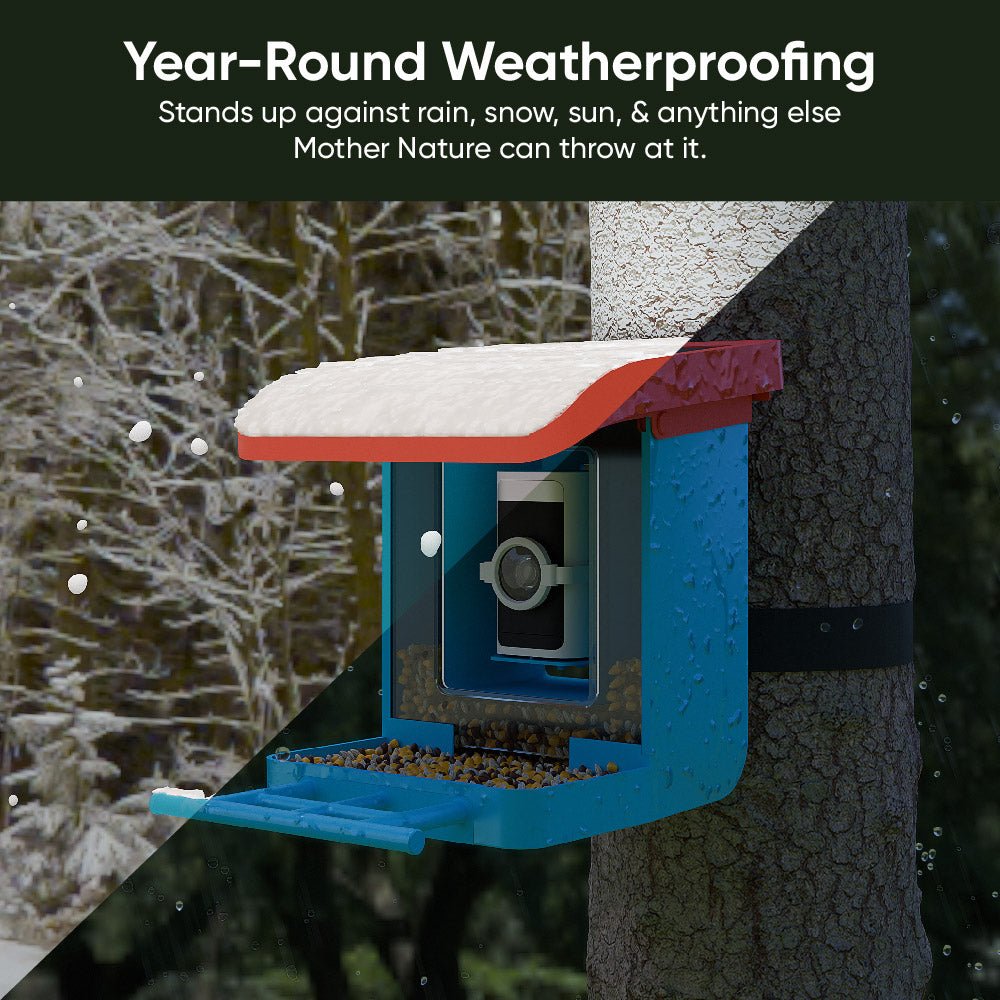 bird-feeder-wireless-camera-bundle-wyze-labs-inc-813916.jpg